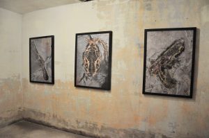 Britto_54th_Venice_Biennale_imran_hossain_piplu_2