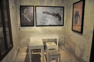 Britto_54th_Venice_Biennale_imran_hossain_piplu_6