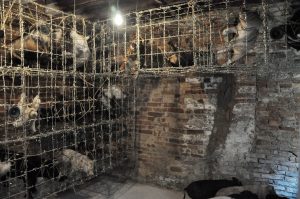 Britto_54th_Venice_Biennale_mahbubur_rahman_3