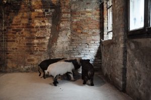 Britto_54th_Venice_Biennale_mahbubur_rahman_4