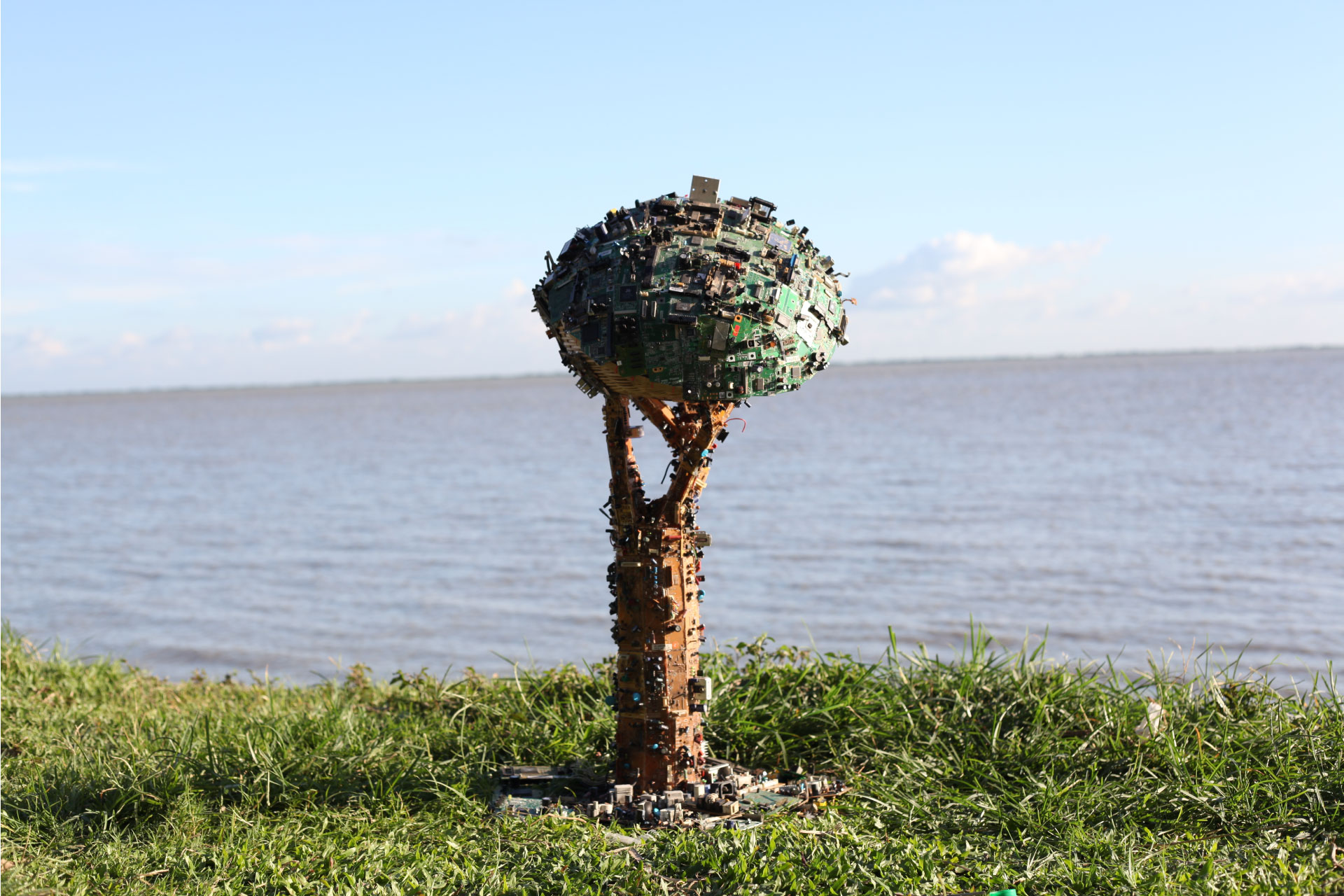 Britto_Make_A_Forest_ashim_halder_sagor