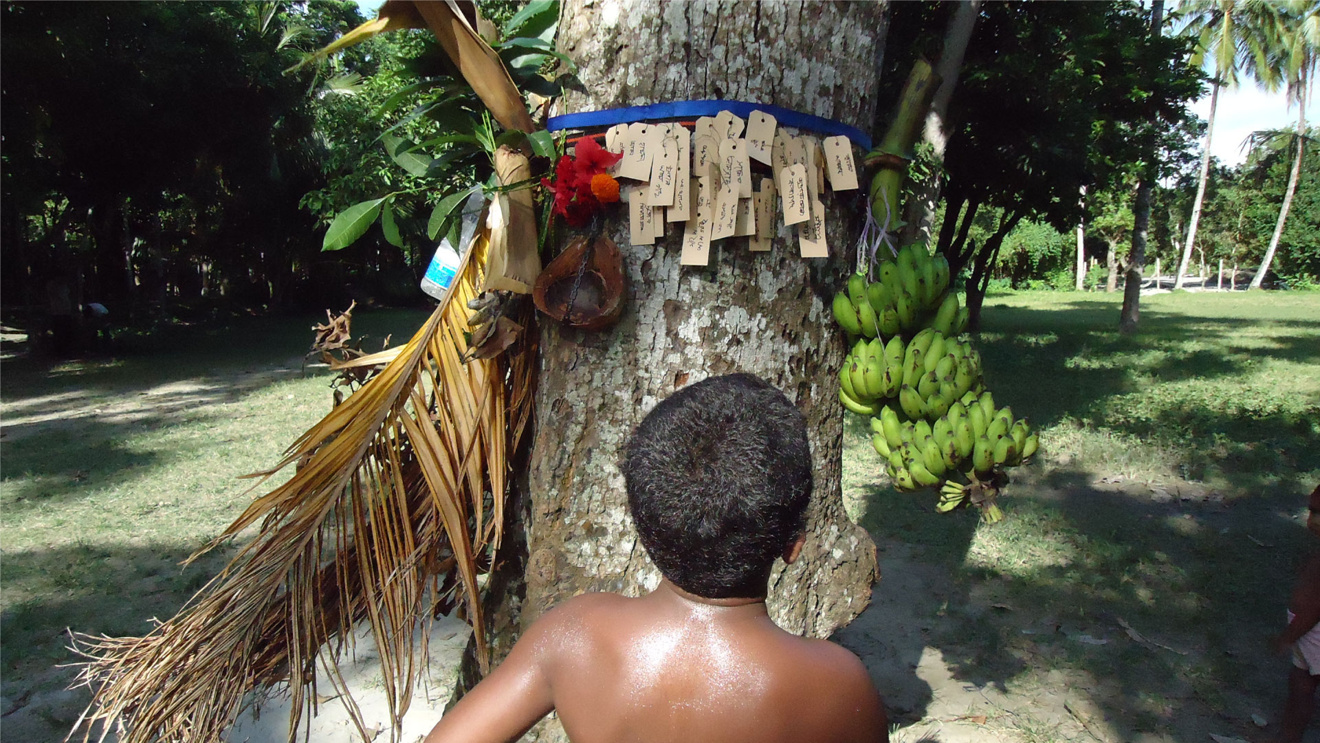 Britto_Make_A_Forest_frank_bruggeman_1