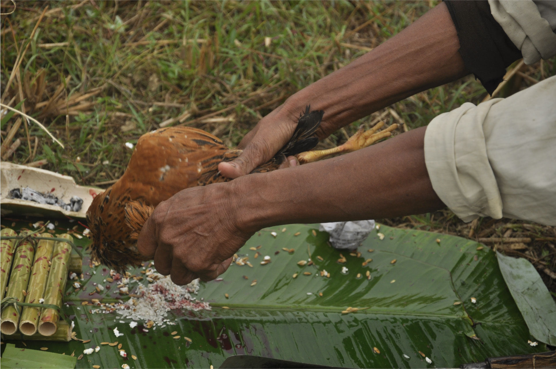 Britto_Prantiker_Praakritajon-III_Molla_Sagar_4