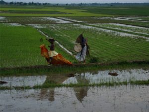 Britto_Prantiker_Praakritajon-IV_Kamruzzaman_Shadhin_4