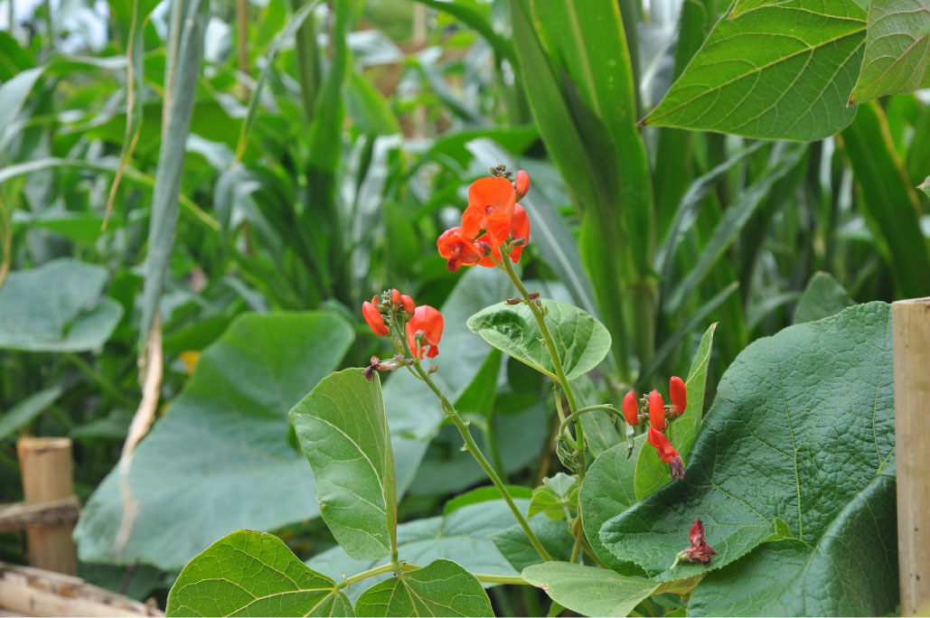 Britto_Palan_documenta-15_12