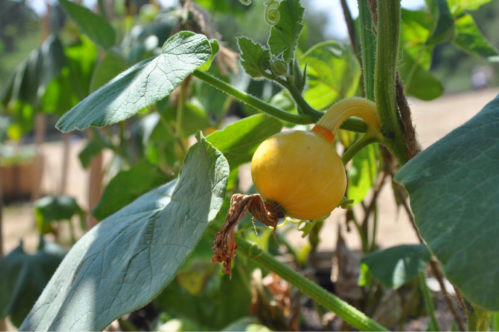 Britto_Palan_documenta-15_15