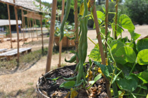 Britto_Palan_documenta-15_16