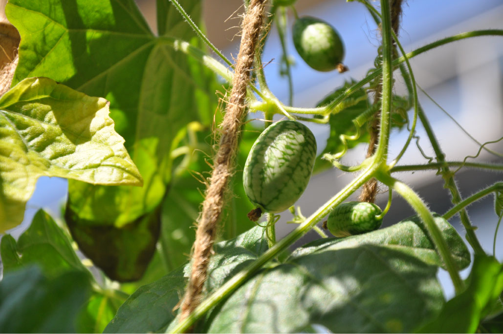 Britto_Palan_documenta-15_20