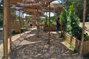 Britto_Palan_documenta-15_21