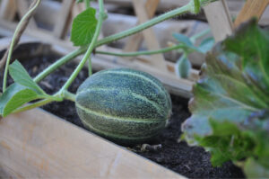 Britto_Palan_documenta-15_23