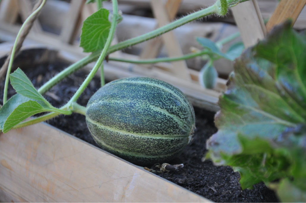 Britto_Palan_documenta-15_23