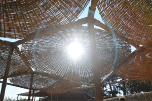 Britto_Palan_documenta-15_24