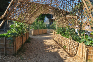 Britto_Palan_documenta-15_25