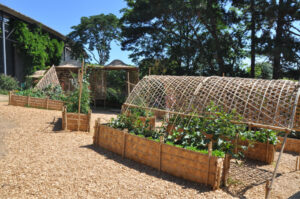 Britto_Palan_documenta-15_26