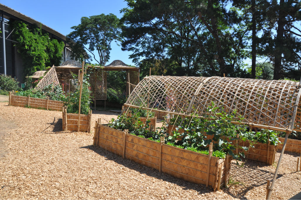 Britto_Palan_documenta-15_26