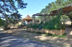 Britto_Palan_documenta-15_27