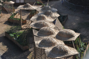 Britto_Palan_documenta-15_31