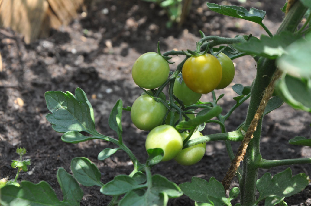 Britto_Palan_documenta-15_33