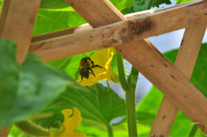 Britto_Palan_documenta-15_34