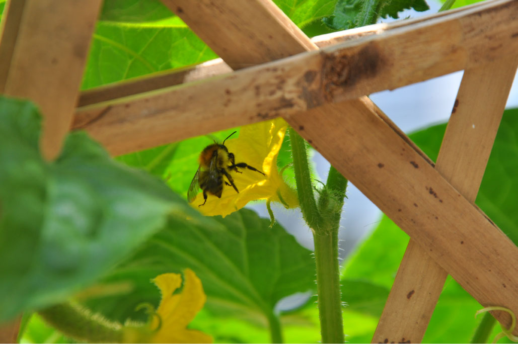 Britto_Palan_documenta-15_34