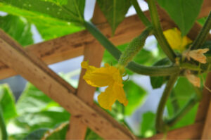 Britto_Palan_documenta-15_35