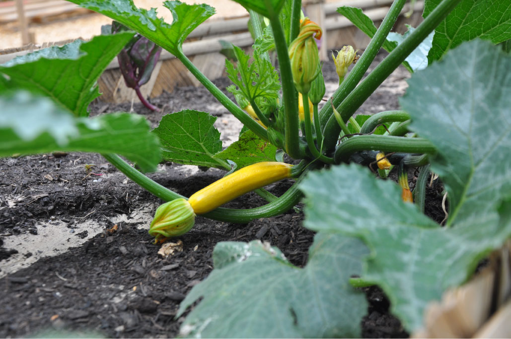 Britto_Palan_documenta-15_37