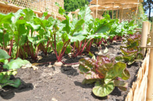 Britto_Palan_documenta-15_39