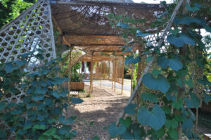 Britto_Palan_documenta-15_4