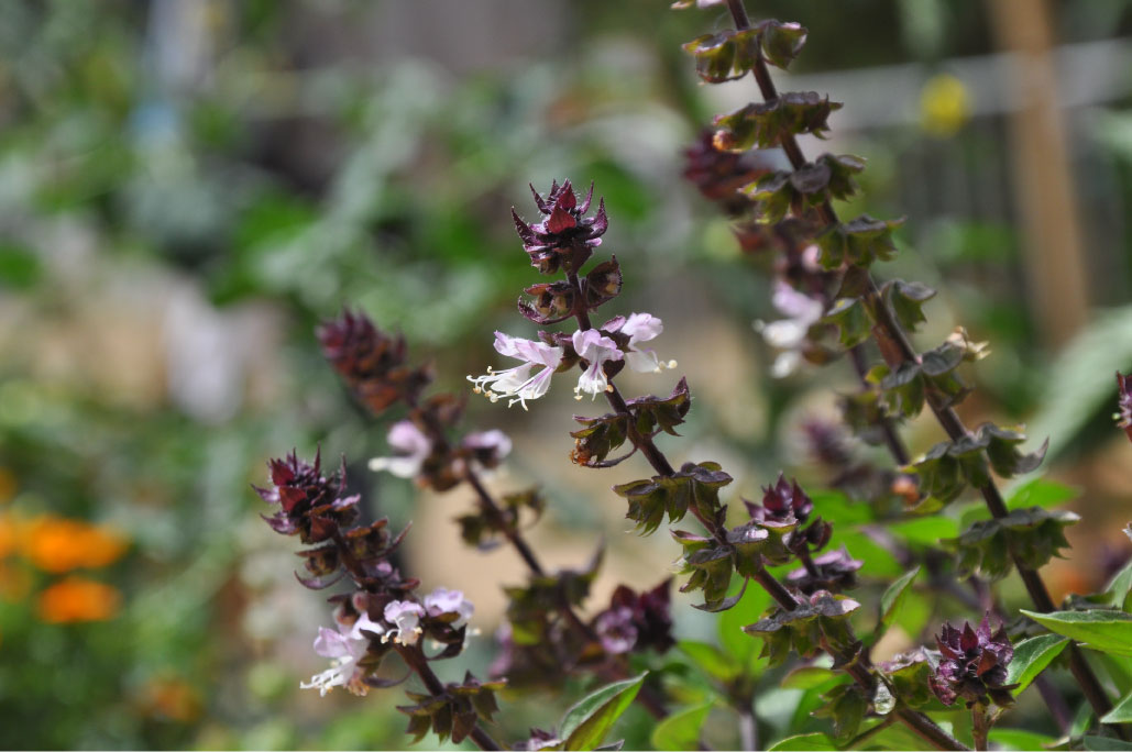 Britto_Palan_documenta-15_6