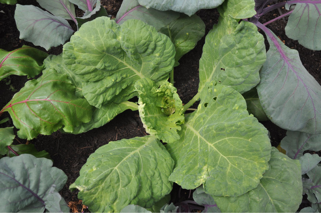 Britto_Palan_documenta-15_7