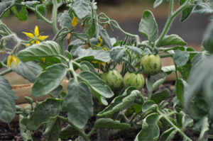 Britto_Palan_documenta-15_9