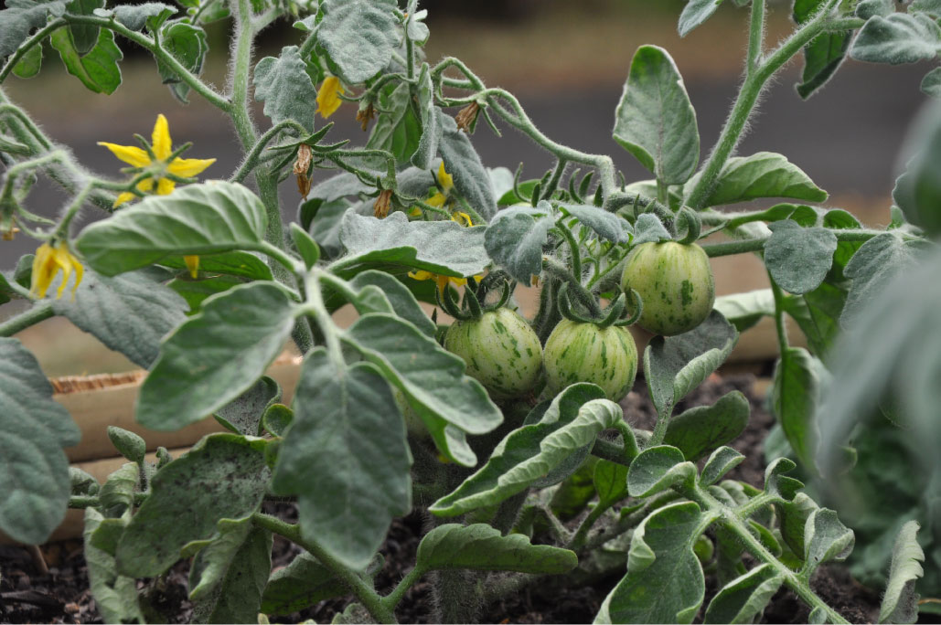 Britto_Palan_documenta-15_9