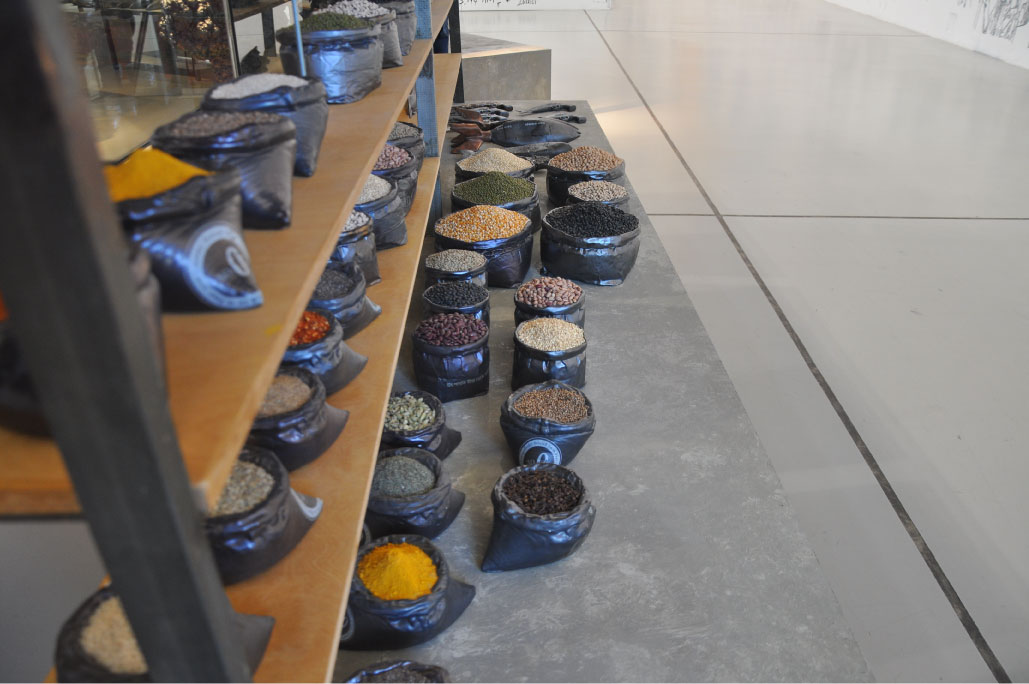 Britto_Rasad_documenta-15_11