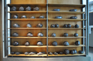 Britto_Rasad_documenta-15_13