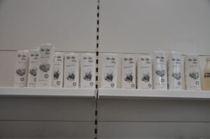 Britto_Rasad_documenta-15_20