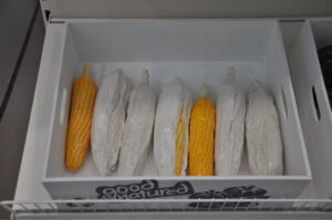 Britto_Rasad_documenta-15_22