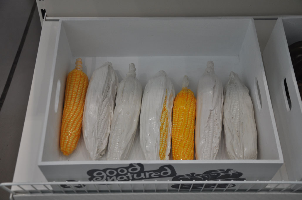 Britto_Rasad_documenta-15_22