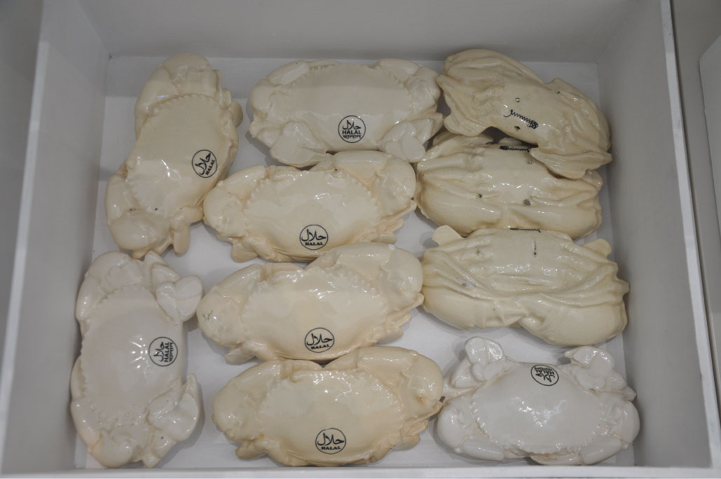 Britto_Rasad_documenta-15_25