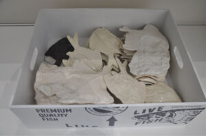 Britto_Rasad_documenta-15_26