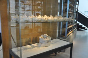 Britto_Rasad_documenta-15_27