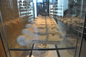 Britto_Rasad_documenta-15_28