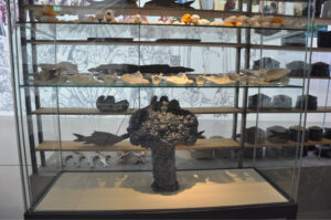 Britto_Rasad_documenta-15_29