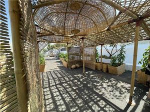 Britto_Pakghor_Palan_diriyah-contemporary-art-biennale7